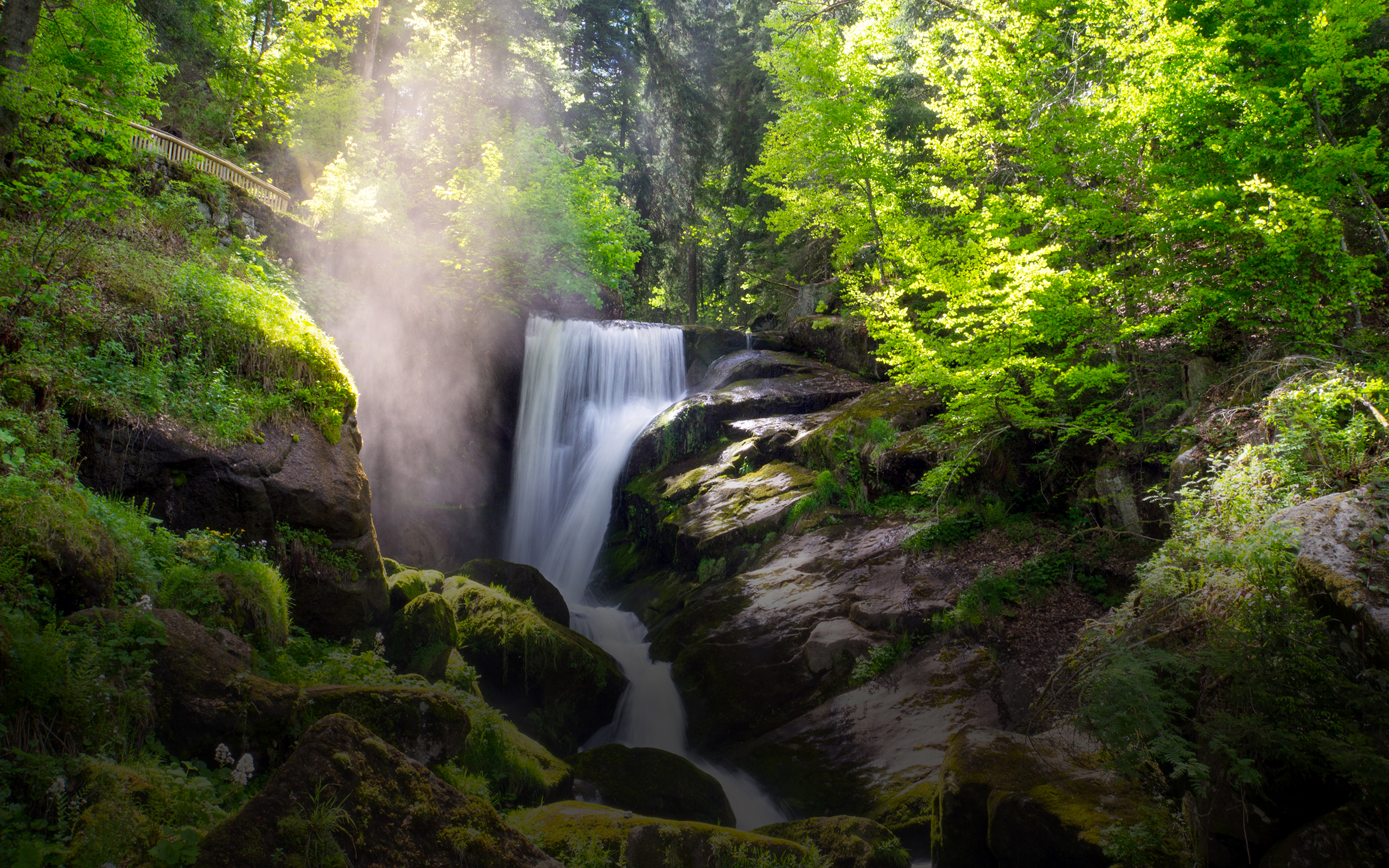 Wasserfall und Bach in einem Wald